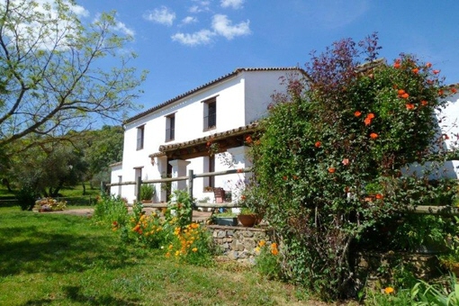 7house