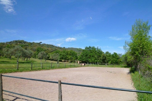 country