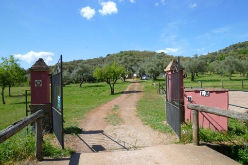 gates