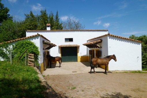 stable