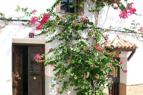 apartment in Jimena de la Frontera