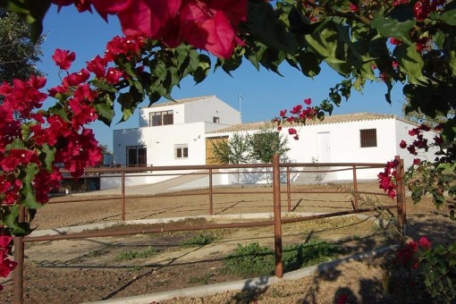 villa in El Aljarafe