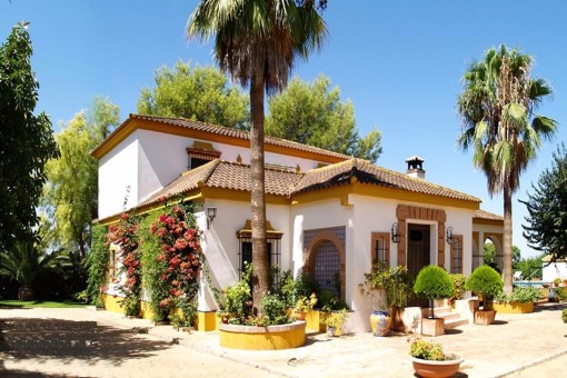 villa in Carmona