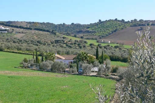 finca in Cádiz