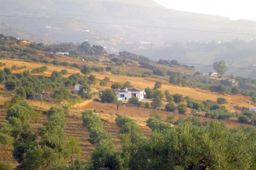 finca in Sierra de las Nieves for sale