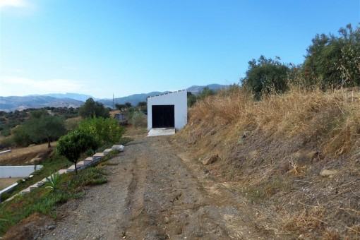 The land around the finca