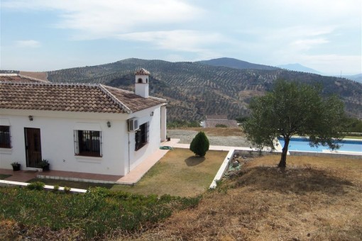 The finca