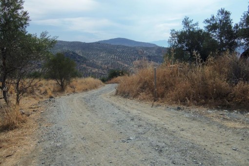 The land