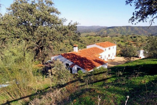 finca in Castillo de las Guardas