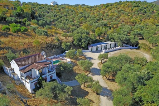 finca in Alhaurín el Grande