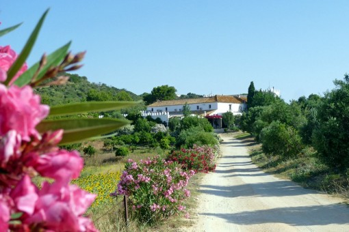 commercial in Arcos de la Frontera