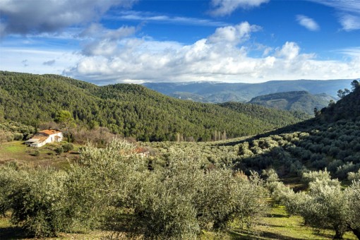 finca in Siles