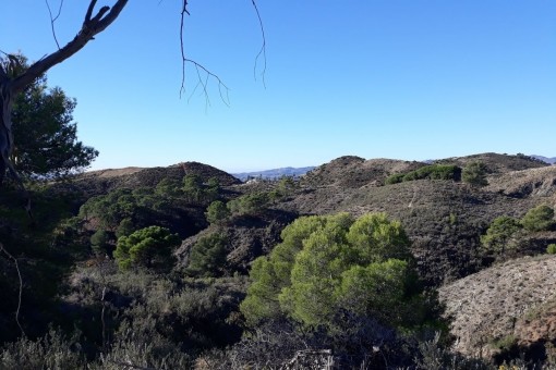 plot in Mijas