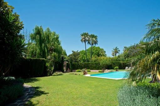 Exterior area with palms