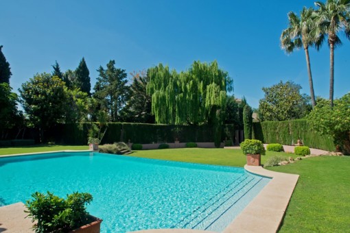 Pool edge with plants