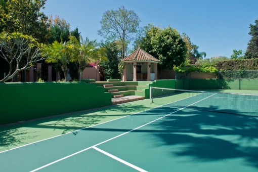 Alternative views of the tennis court
