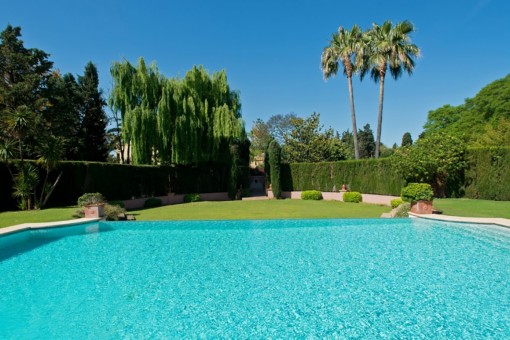 Views of the pool area with garden