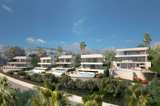 View of the detached villas