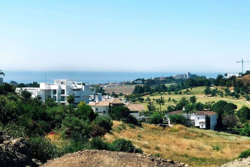 Alternative view of the landscape