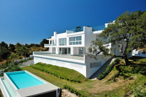 villa in Elviria