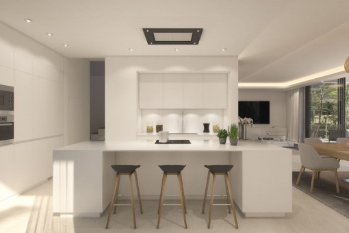 Modern, fully equipped kitchen