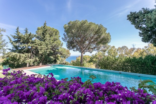 Pool area with impressive sea views