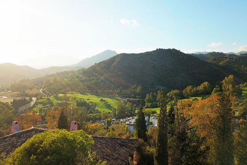 Surrounding landscape