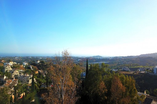 Surrounding landscape