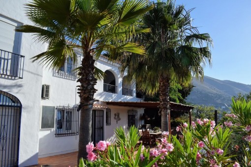 finca in Cómpeta