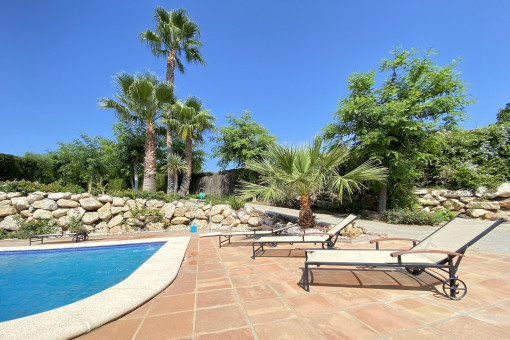 Pool area with sun loungers