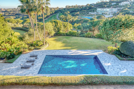 Beautiful pool and garden